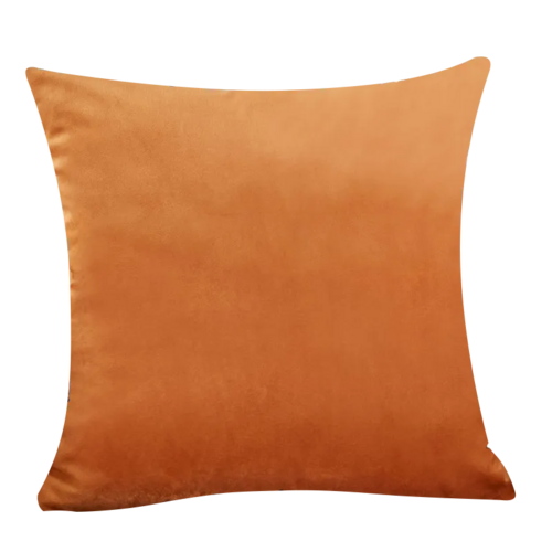 Velvet Cushion Cover Super Soft Pillow Cover for Sofa Living Room