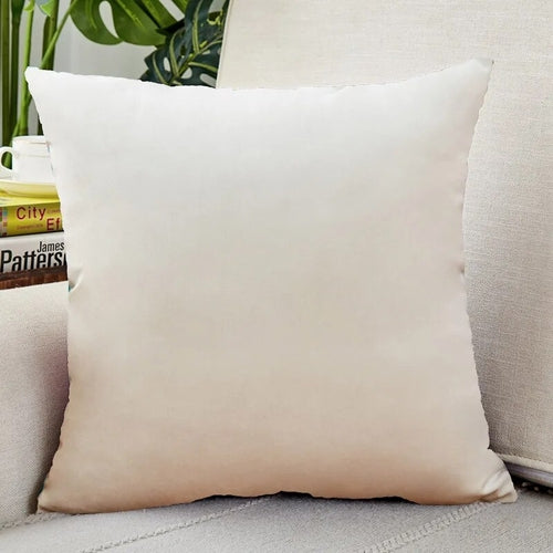 Velvet Cushion Cover Super Soft Pillow Cover for Sofa Living Room